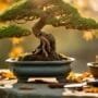 outdoor bonsai pruning guide