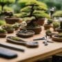 practical bonsai skill development