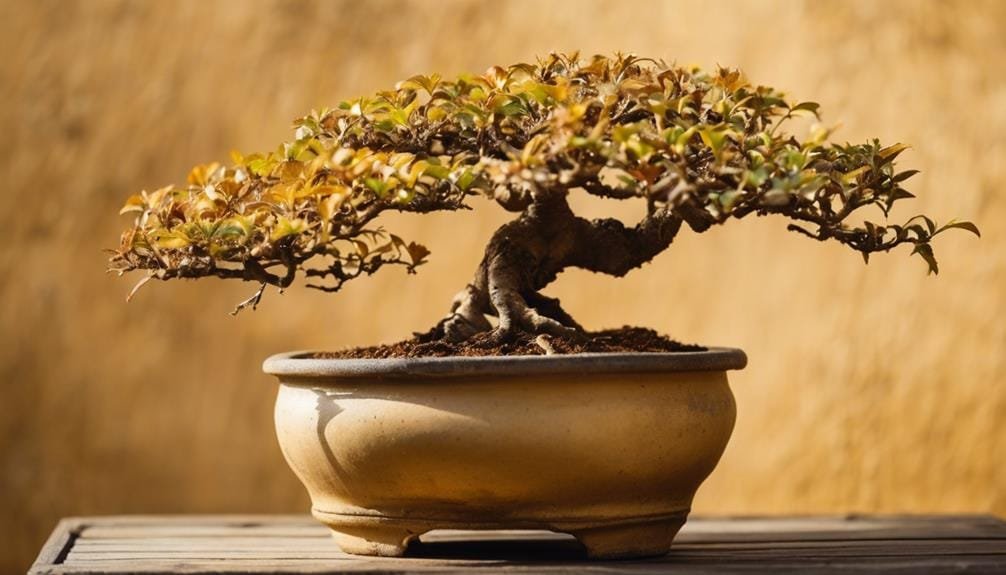 preventing bonsai tree damage