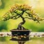 preventing bonsai water damage