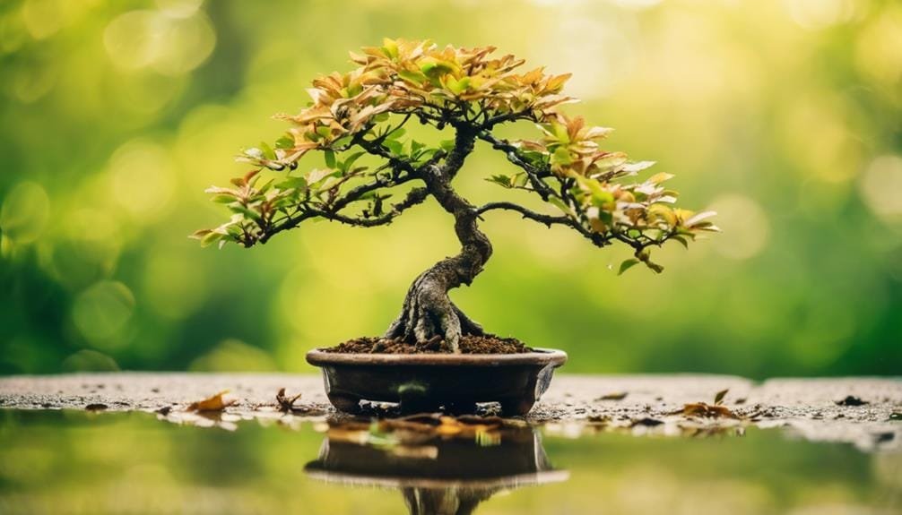 preventing bonsai water damage