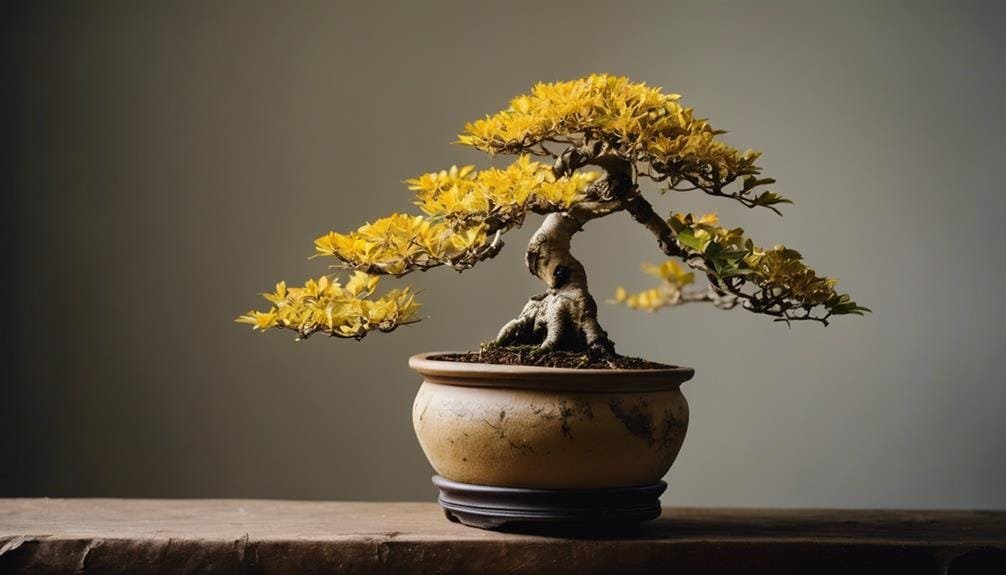 preventing tree root decay