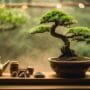 proper care for bonsai