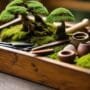 proper care for tools