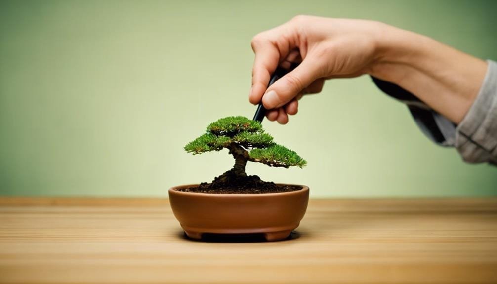 properly watering your bonsai