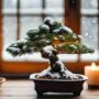 protecting delicate trees indoors
