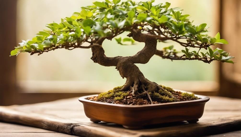 pruning for aesthetic refinement
