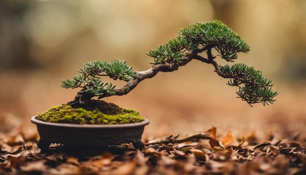 pruning for miniature perfection