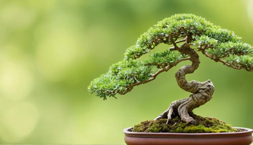pruning for small perfection