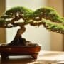 purifying air with bonsai