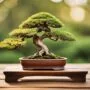quality affects bonsai tool