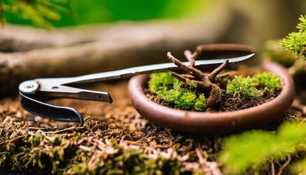 restore bonsai tool efficiency