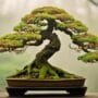 restoring health to neglect