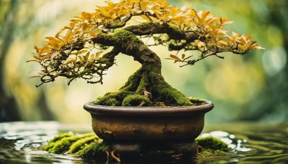 reviving drowning bonsai trees