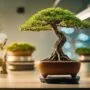 robotics in bonsai care