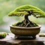 root health is key