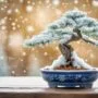 safeguarding delicate winter trees