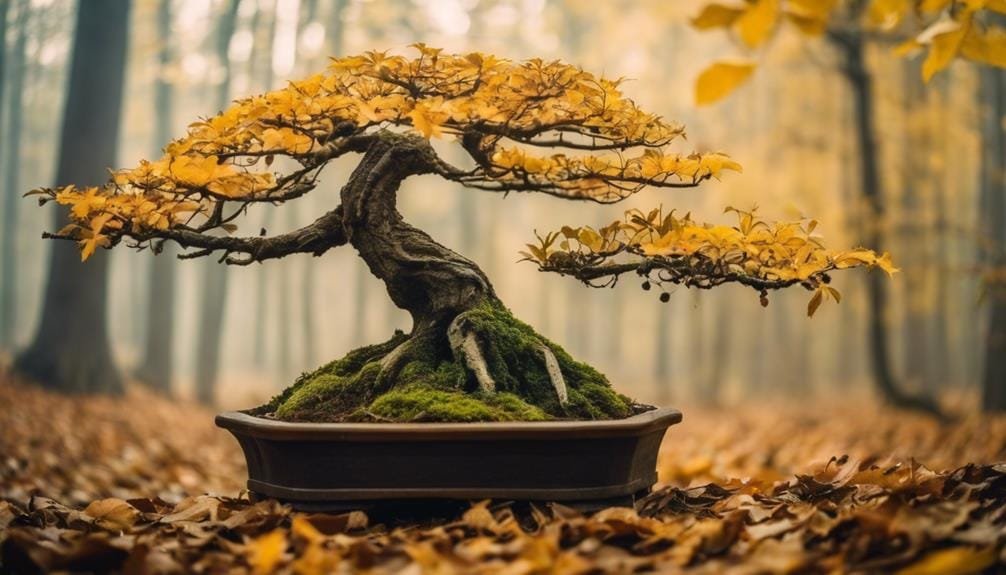 saving sick bonsai trees