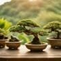selecting durable outdoor bonsai