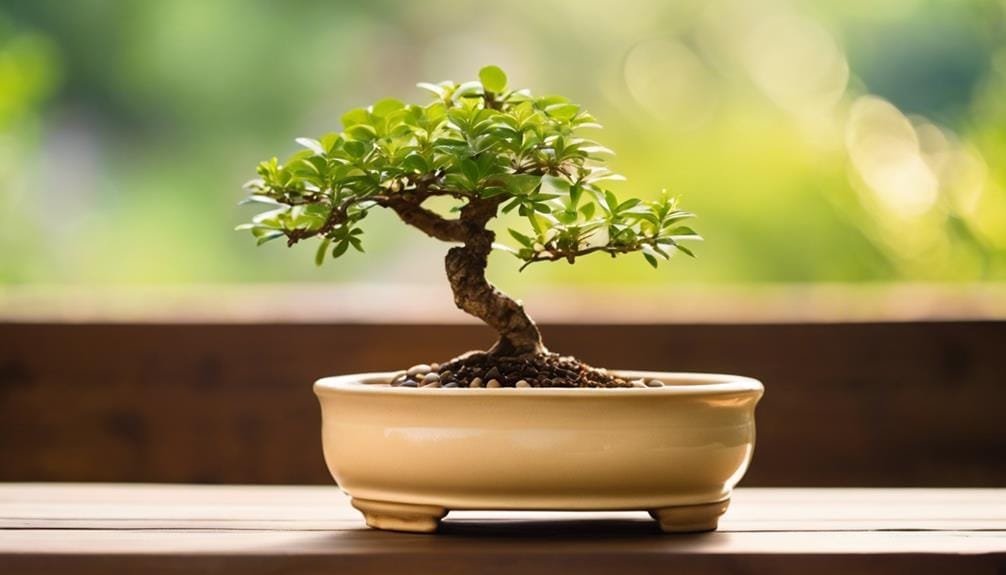 selecting the right container