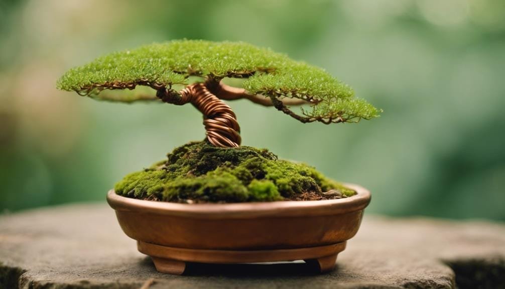 shaping bonsai tree foundations