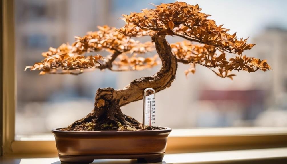 shield bonsai from sun