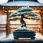 shielding bonsai from weather