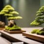 showcasing miniature tree art