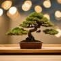 showcasing miniature tree art