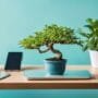 simplify bonsai tree care