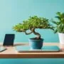 simplify bonsai tree care