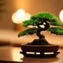 smart tree care assistants