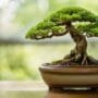 symptoms of constricted growth
