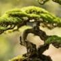 texture creates visual interest