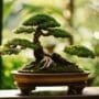 tiny trees on display