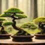 trees for slow growth