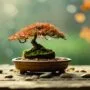 trees thrive in containers