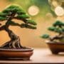unique containers for trees