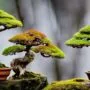 unusual bark adds character