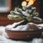 winterizing bonsai tree care