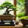 art of miniature tree
