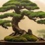 art of tree joining