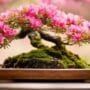 artful miniature flower displays