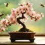 artificial pollination for bonsai