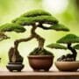 beyond traditional soil mix