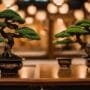 bonsai for charity events
