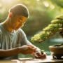 bonsai for gentle souls
