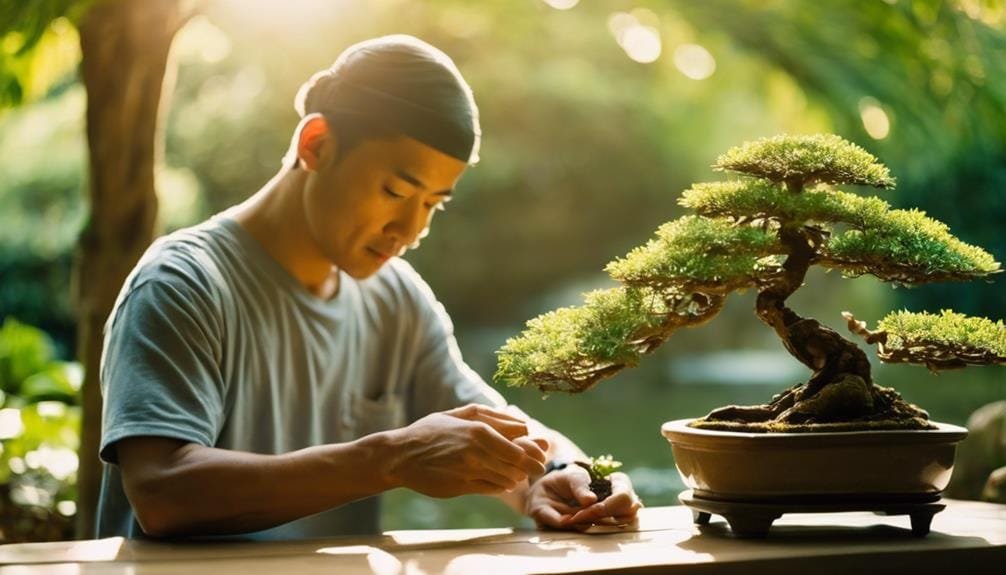 bonsai for gentle souls