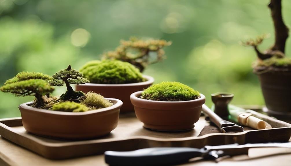 bonsai tools and materials