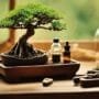 bonsai tree growing essentials